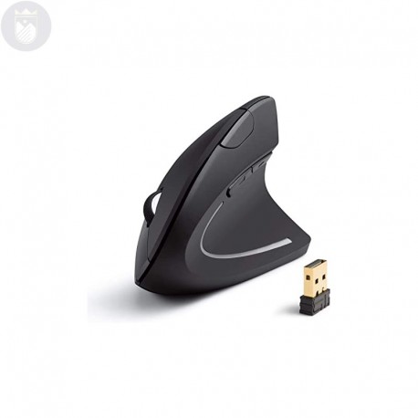 MOUSE ERGONOMICO INALAMBRICO