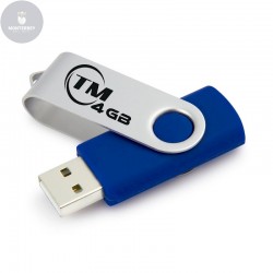 MEMORIA USB 4 GIGAS TM