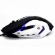 MOUSE JYR 043