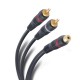RCA HEMBRA A 2 MACHOS