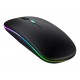 MOUSE VIRTUAL 2 EN 1 RGB