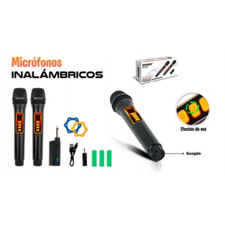 MICROFONO DOBLE DM 204