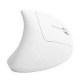 MOUSE ERGONOMICO COLORES